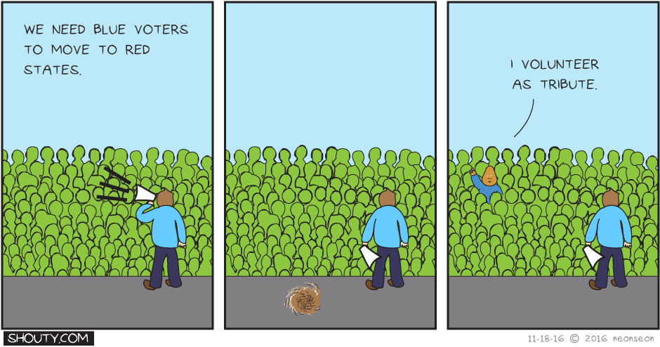 Election Games
