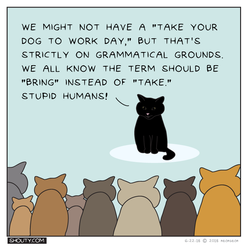 Clever Cats